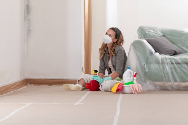 Reliable Mold Remediation contractor in Manhasset, NY by WQB Mold Removal
